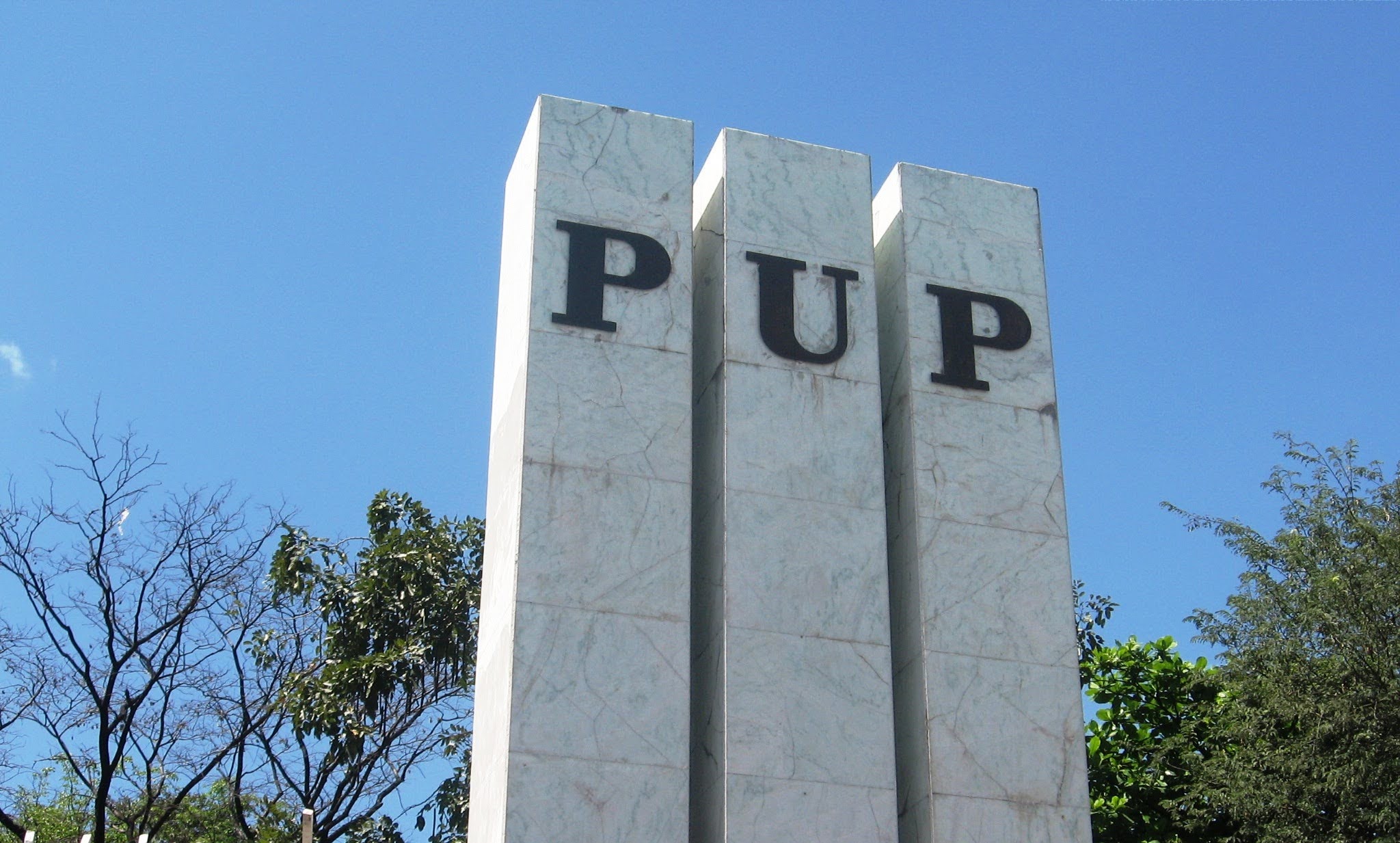 PUP Pylon