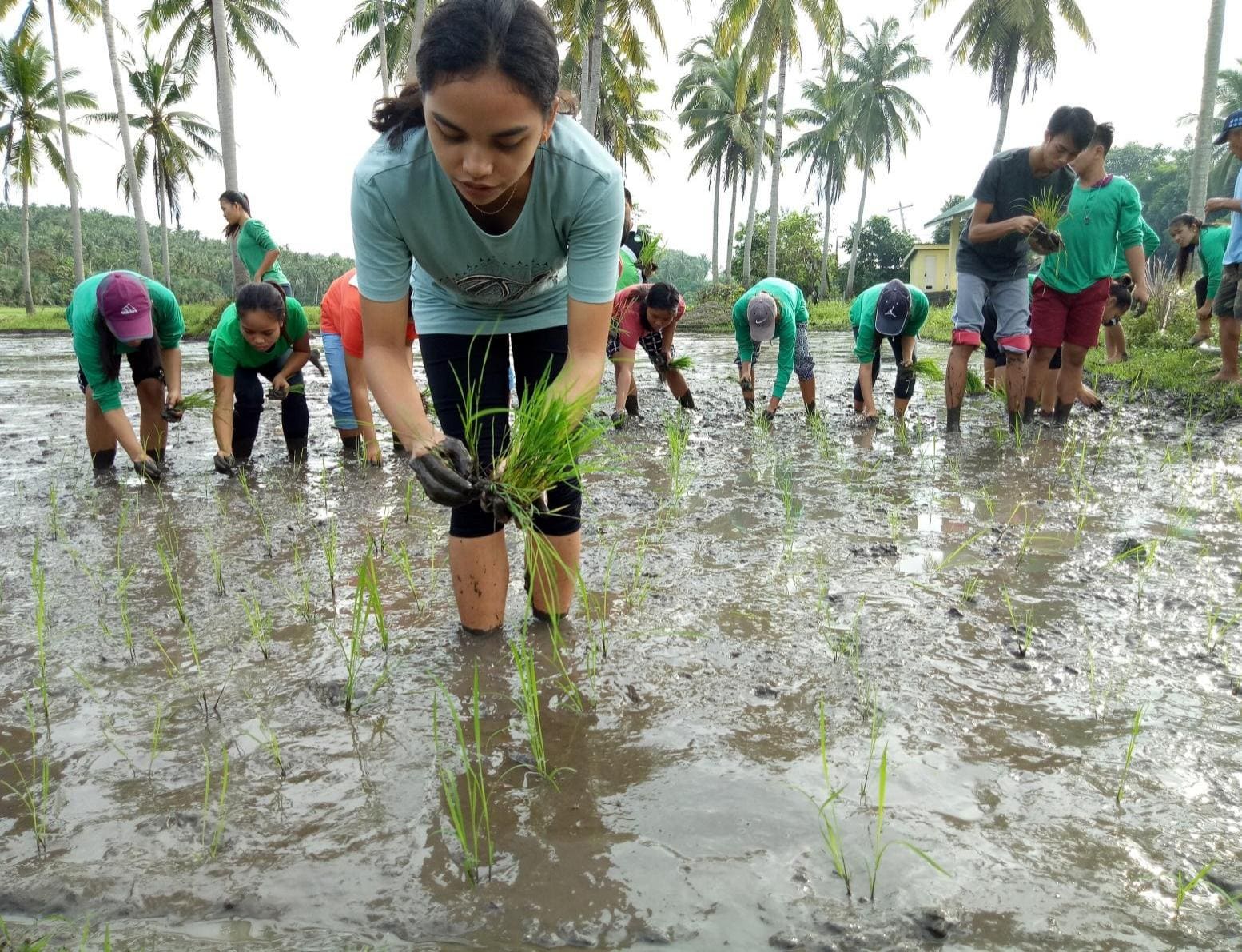 Advancing National Food Security: Knowledge Sharing and Capacity Building for Local Food Producers