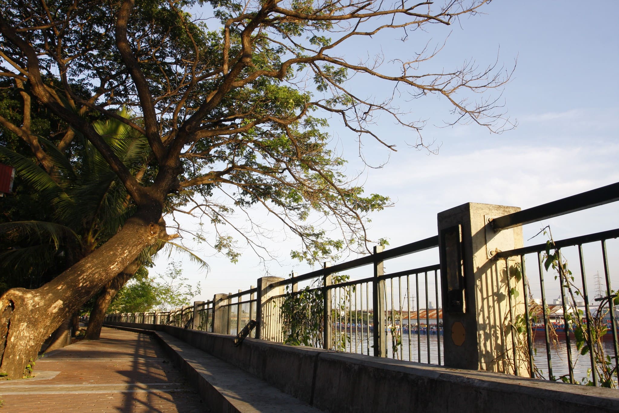 campus infrastructure through nature-based solutions